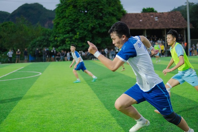 强化了学校
