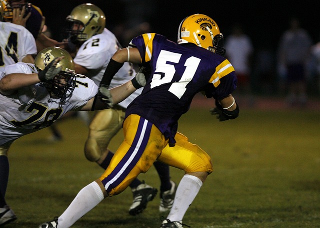 文未尝不是 文未尝不是